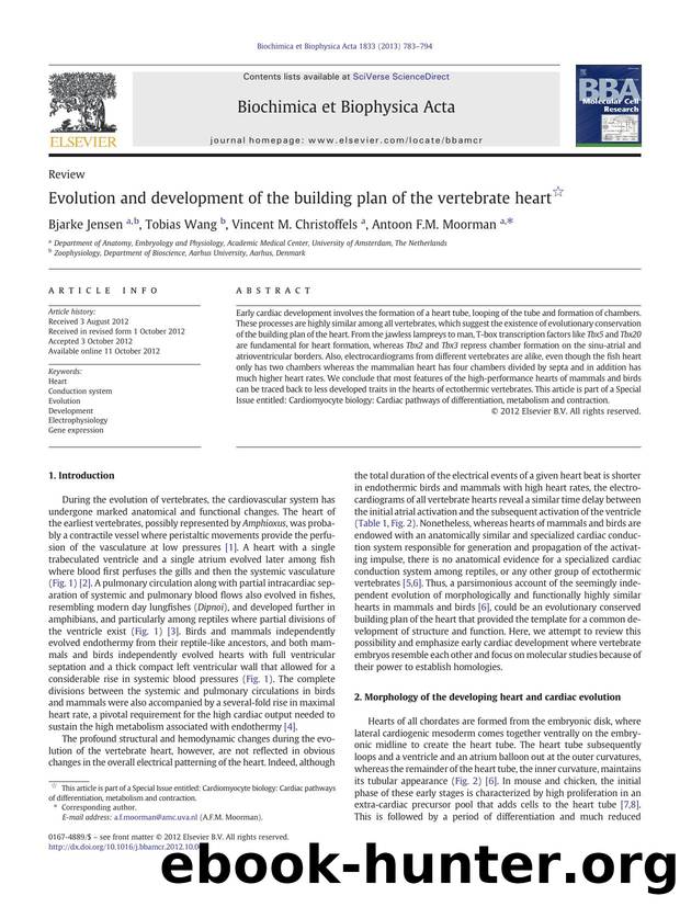 Evolution and development of the building plan of the vertebrate heart by Bjarke Jensen & Tobias Wang & Vincent M. Christoffels & Antoon F.M. Moorman