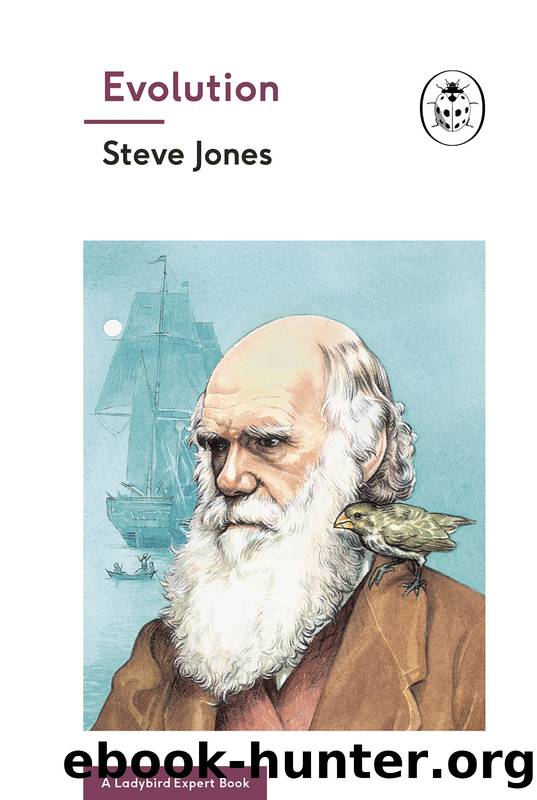 Evolution by Steve Jones