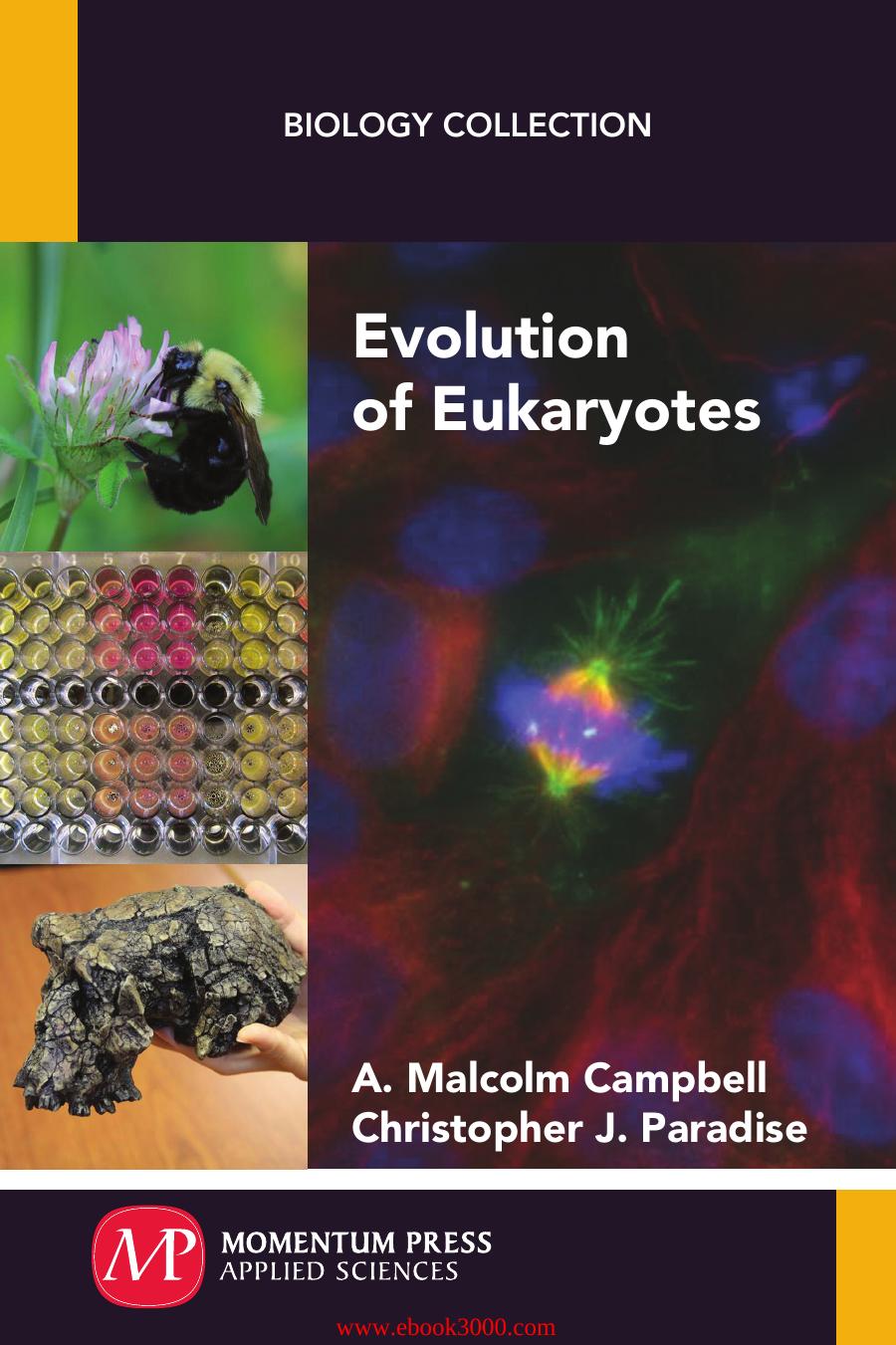 Evolution of Eukaryotes (Biology Collection) by Unknow