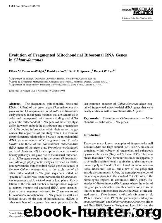Evolution of Fragmented Mitochondrial Ribosomal RNA Genes in Chlamydomonas by Denovan-Wright E. et al