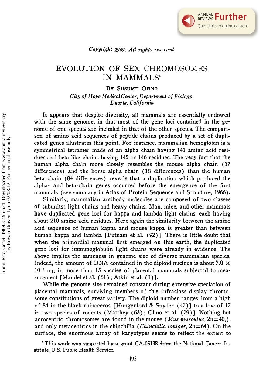 Evolution of Sex Chromosomes in Mammals by S Ohno