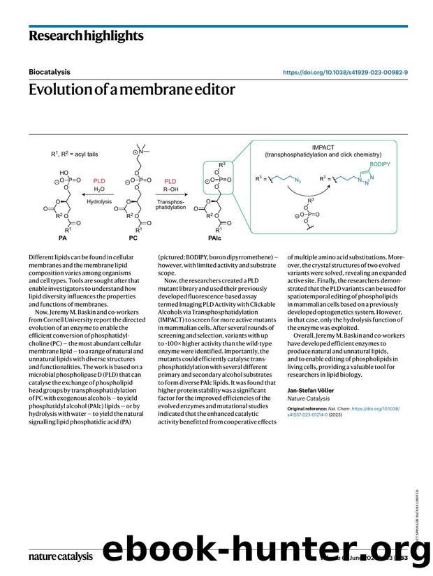 Evolution of a membrane editor by Jan-Stefan Völler