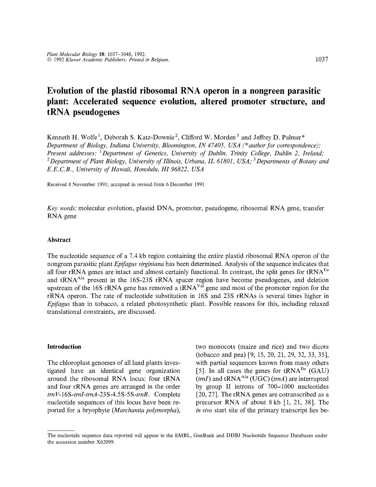 Evolution of the plastid ribosomal RNA operon in a nongreen parasitic plant: Accelerated sequence evolution, altered promoter structure, and tRNA pseudogenes by Unknown