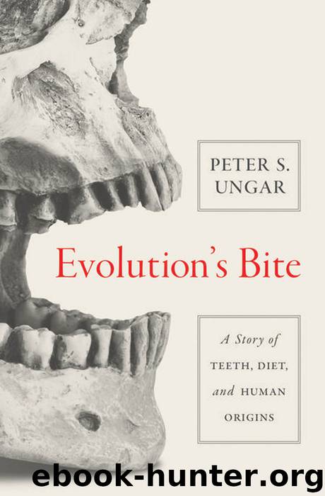 Evolution's Bite: A Story of Teeth, Diet, and Human Origins by Peter S. Ungar