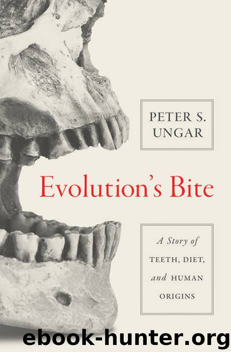 Evolution's Bite: A Story of Teeth, Diet, and Human Origins by Ungar Peter S