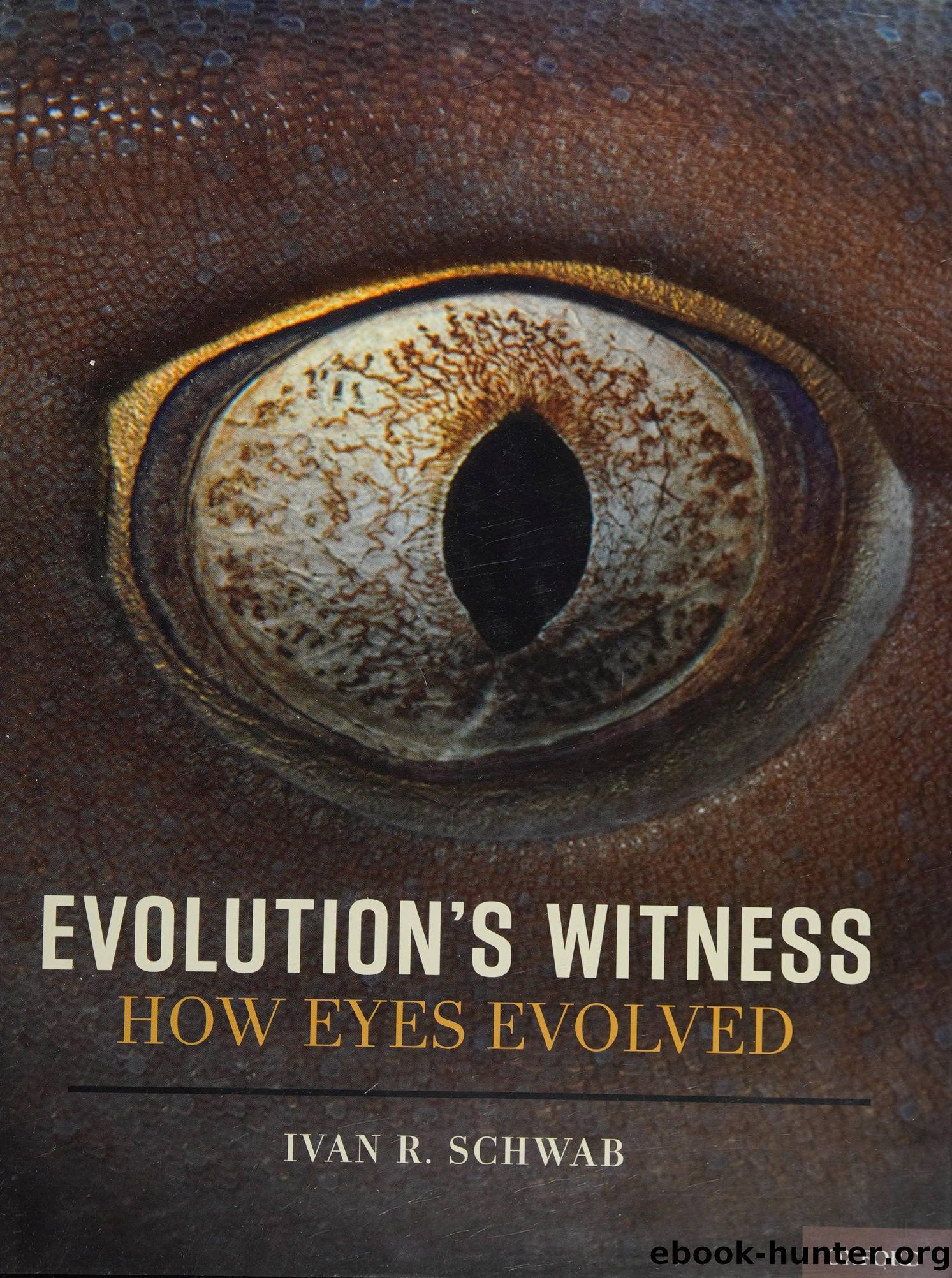Evolution's witness : how eyes evolved by Schwab Ivan R