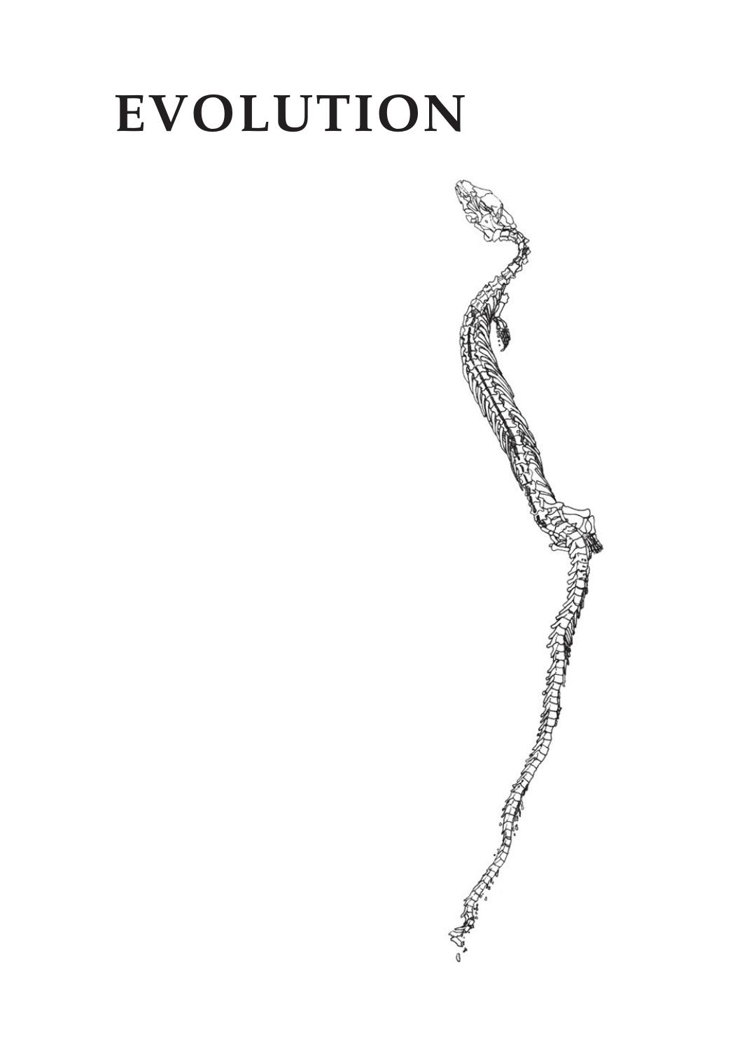Evolution: What the Fossils Say and Why It Matters by Donald R. Prothero Carl Buell