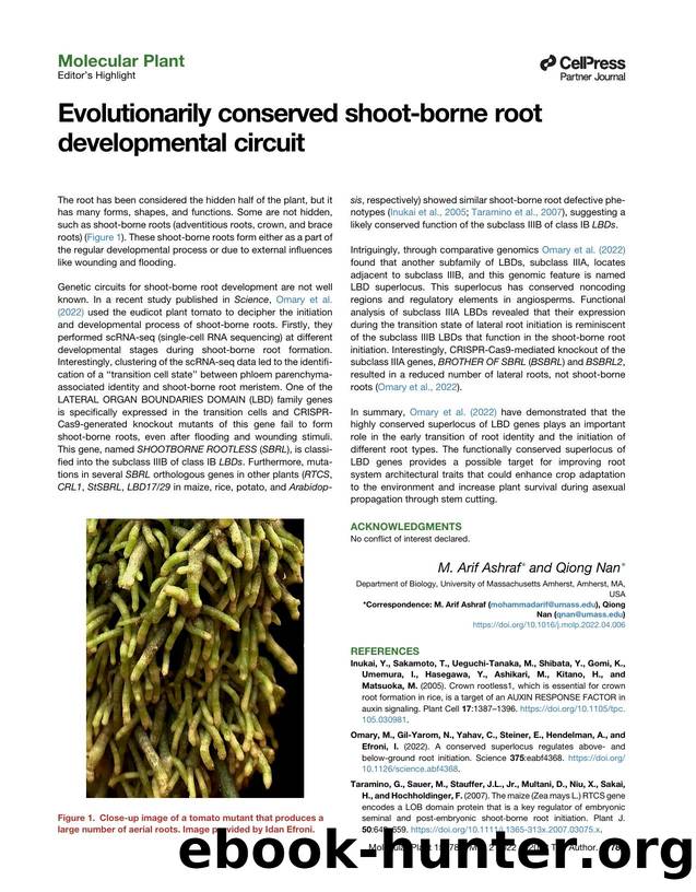 Evolutionarily conserved shoot-borne root developmental circuit by M. Arif Ashraf & Qiong Nan