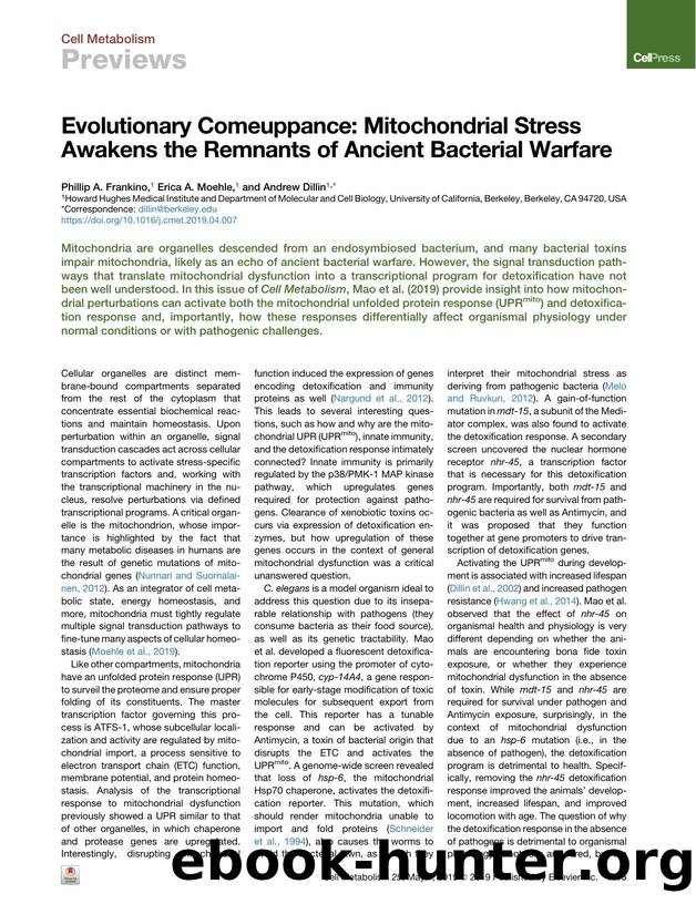 Evolutionary Comeuppance: Mitochondrial Stress Awakens the Remnants of Ancient Bacterial Warfare by Phillip A. Frankino & Erica A. Moehle & Andrew Dillin