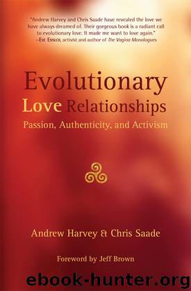 Evolutionary Love Relationships by Andrew Harvey & Chris Saade