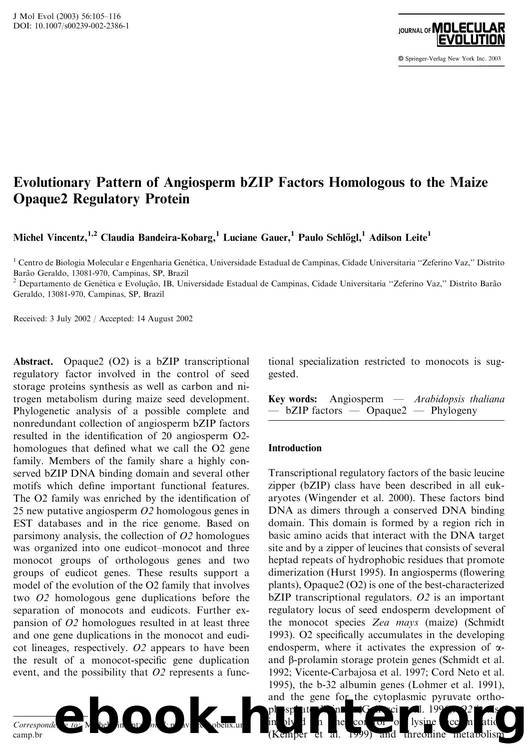 Evolutionary Pattern of Angiosperm bZIP Factors Homologous to the Maize Opaque2 Regulatory Protein by Vincentz M. et al