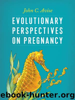 Evolutionary Perspectives on Pregnancy by Avise John
