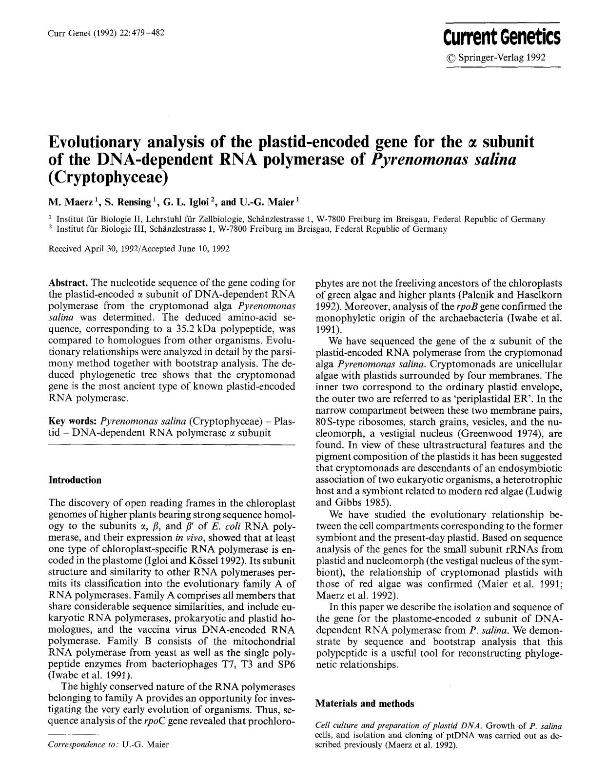 Evolutionary analysis of the plastid-encoded gene for the &#x03B1; subunit of the DNA-dependent RNA polymerase of <Emphasis Type="Italic">Pyrenomonas salina<Emphasis> (cryptophyceae) by Unknown