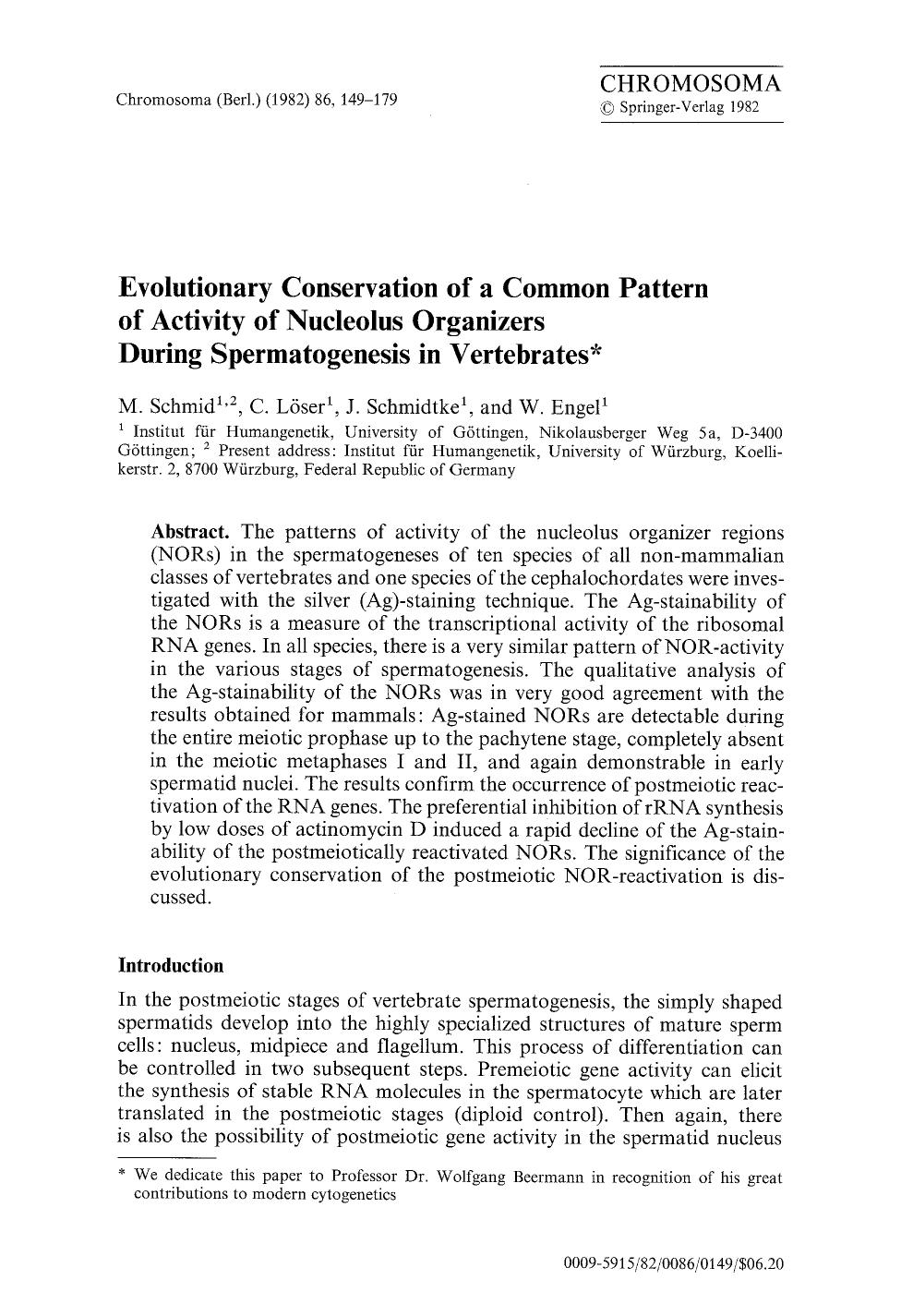 Evolutionary conservation of a common pattern of activity of nucleolus organizers during spermatogenesis in vertebrates by Unknown