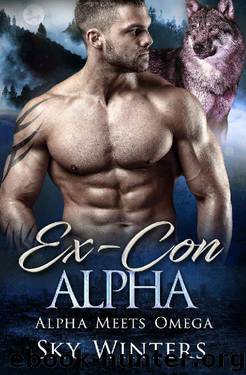Ex-Con Alpha (Alpha Meets Omega Book 3) by Sky Winters