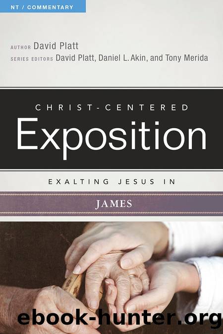 Exalting Jesus In James by David Platt & Daniel L. Akin & Tony Merida
