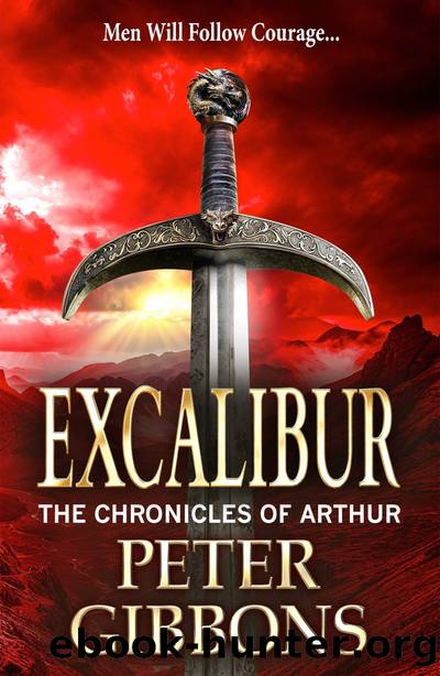 Excalibur by Peter Gibbons