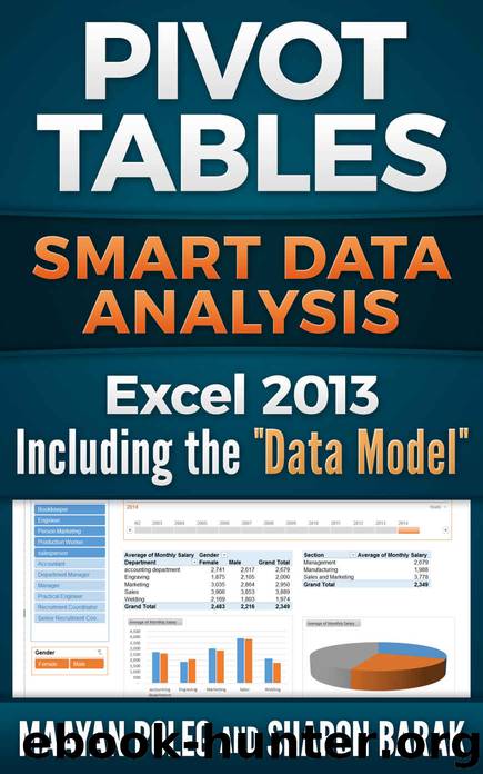 Excel 2013 Pivot Tables by Poleg Maayan & Barak Sharon