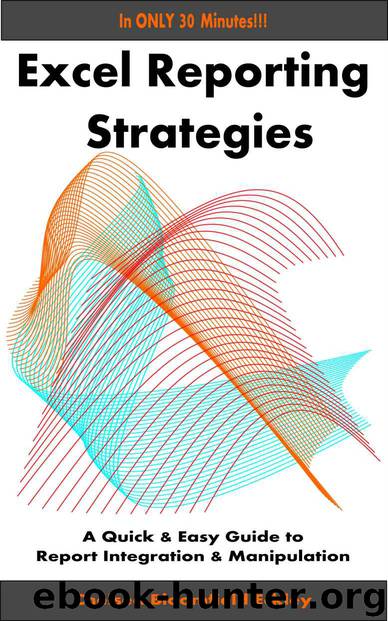 Excel Reporting Strategies: A Quick & Easy Guide to Report Integration & Manipulation by Chelsea Bloomfield Eckley