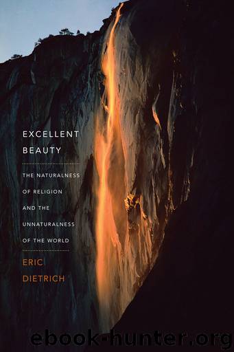 Excellent Beauty by Eric Dietrich
