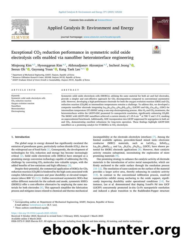 Exceptional CO2 reduction performance in symmetric solid oxide electrolysis cells enabled via nanofiber heterointerface engineering by unknow