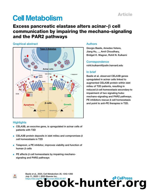 Excess pancreatic elastase alters acinar-&beta; cell communication by impairing the mechano-signaling and the PAR2 pathways by unknow