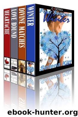 Excessica Anthology BOX SET Winter by Edited by Selena Kitt