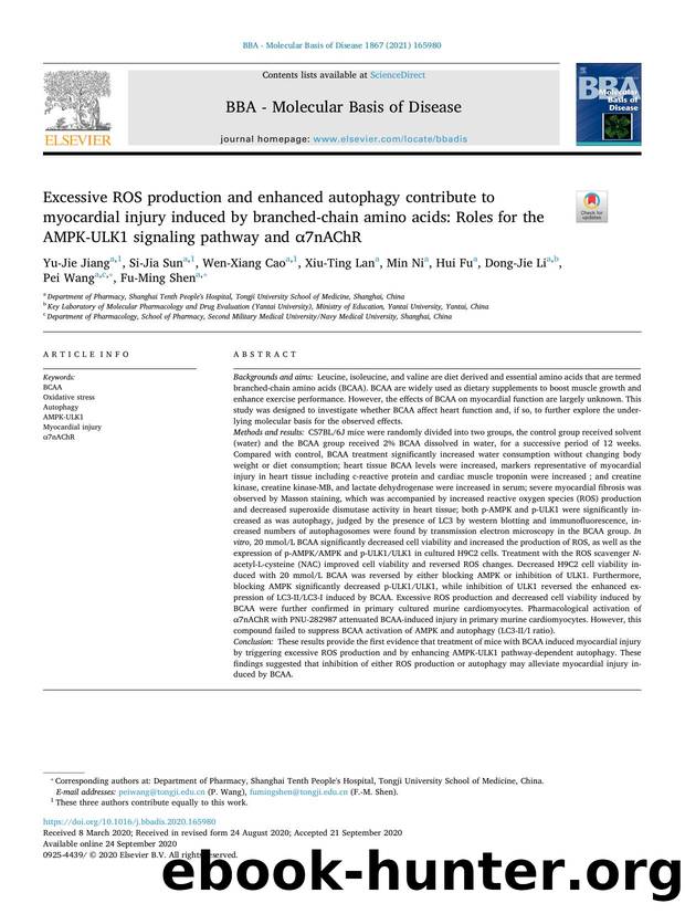 Excessive ROS production and enhanced autophagy contribute to myocardial injury induced by branched-chain amino acids_ Roles for the AMPK-ULK1 signaling pathway and Î±7nAChR by unknow
