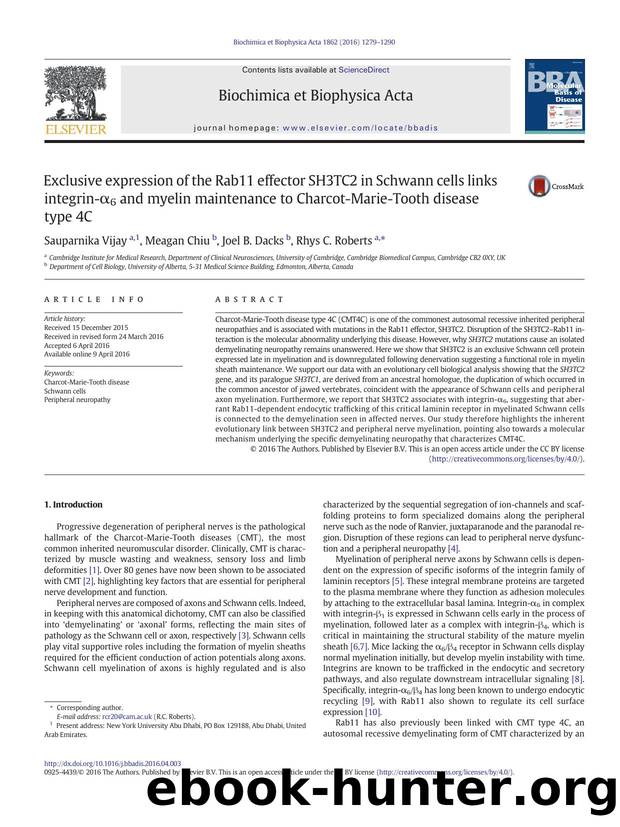 Exclusive expression of the Rab11 effector SH3TC2 in Schwann cells links integrin-Î±6 and myelin maintenance to Charcot-Marie-Tooth disease type 4C by Sauparnika Vijay & Meagan Chiu & Joel B. Dacks & Rhys C. Roberts