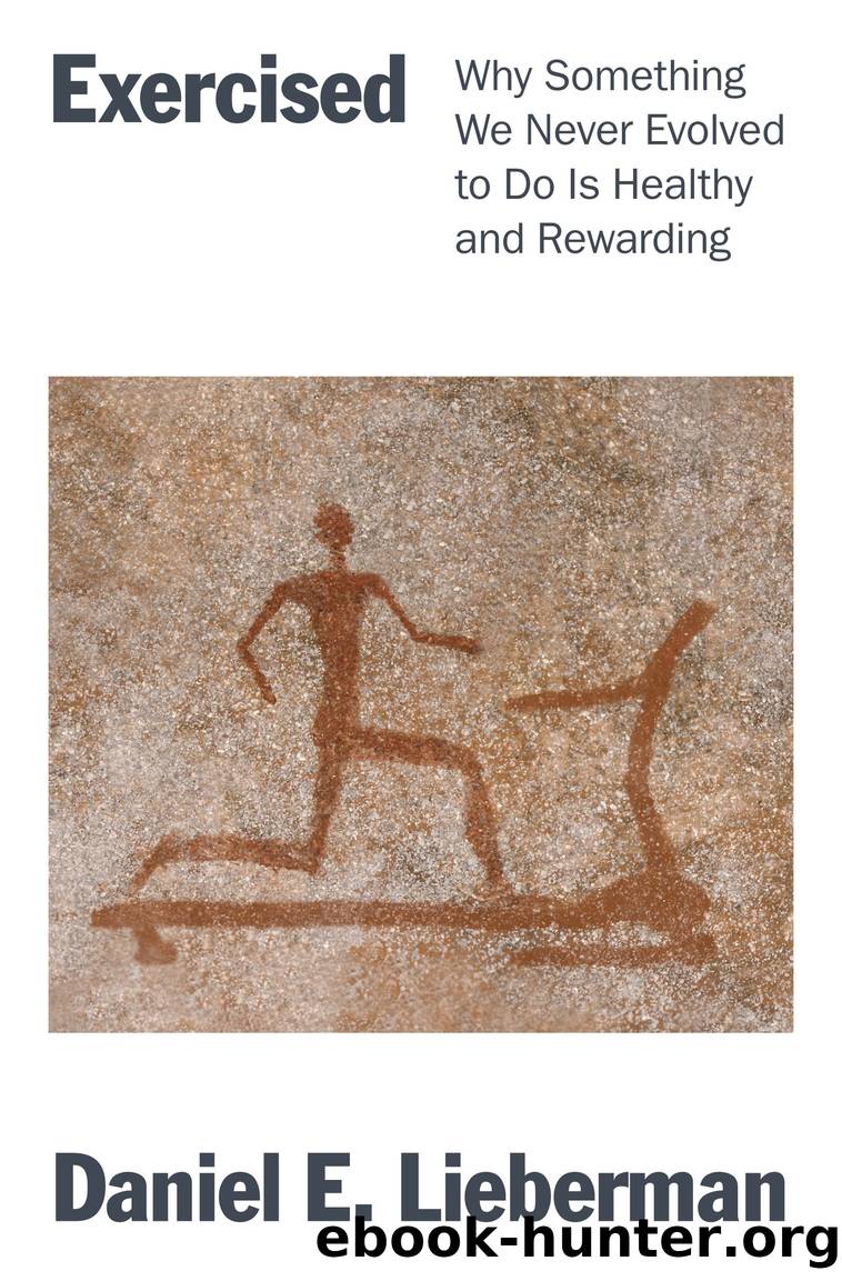 Exercised : Why Something We Never Evolved to Do Is Healthy and Rewarding (9781524746995) by Lieberman Daniel