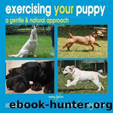 Exercising Your Puppy by Julia Robertson