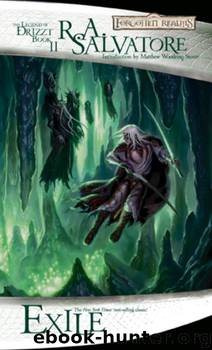 Exile by R.A. Salvatore