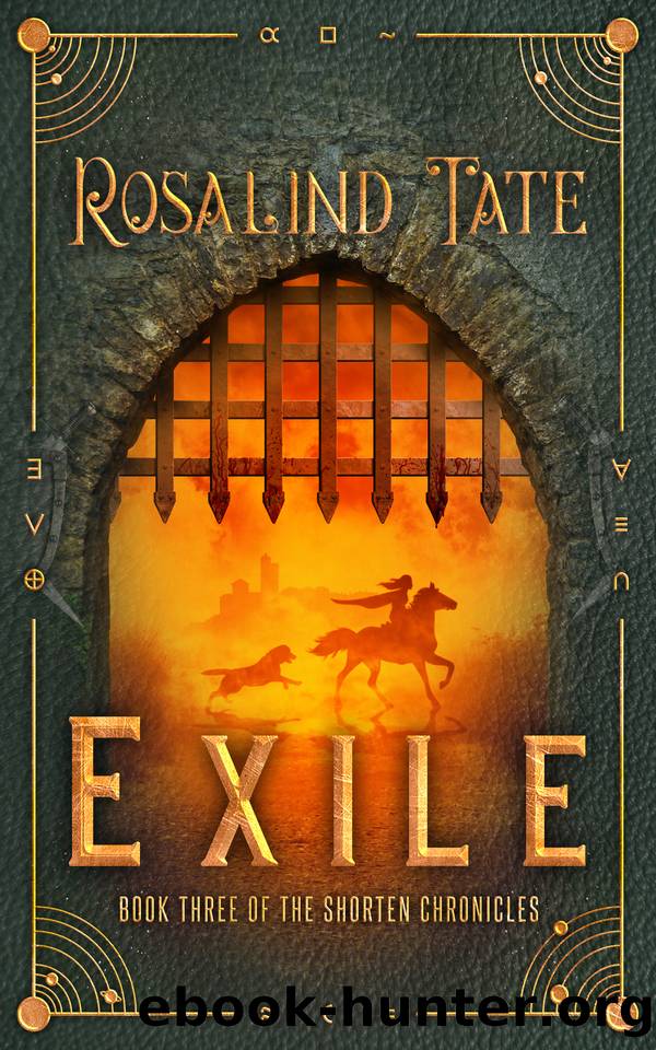Exile: A Romantic Time Travel Mystery (The Shorten Chronicles Book 3) by Tate Rosalind