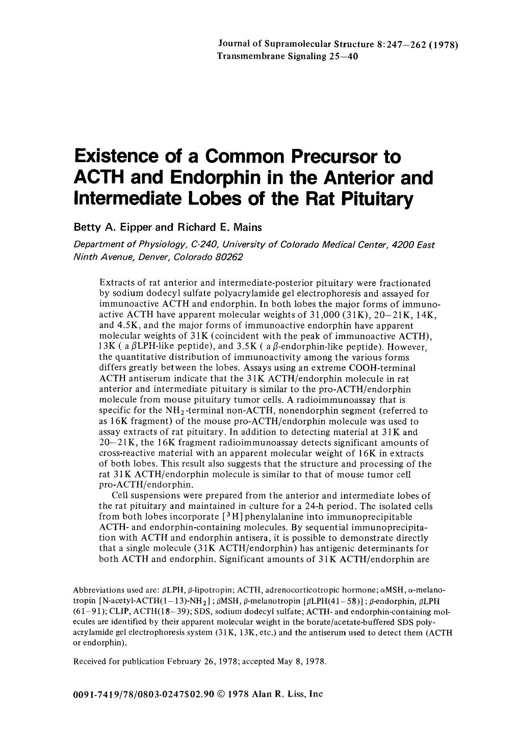 Existence of a common precursor to ACTH and endorphin in the anterior and intermediate lobes of the rat pituaitary by Unknown
