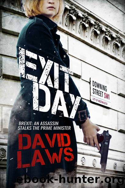 Exit Day_Brexit_An Assassin Stalks the Prime Minister by David Laws