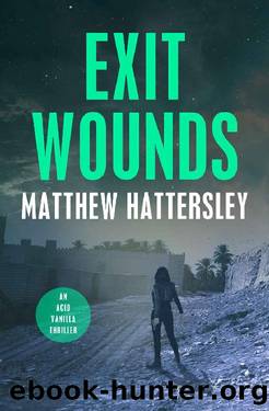 Exit Wounds (Acid Vanilla Series Book 5) by Matthew Hattersley