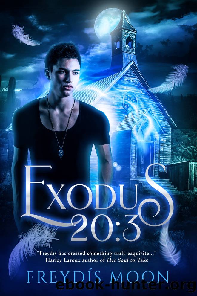 Exodus 20 by Freydis Moon