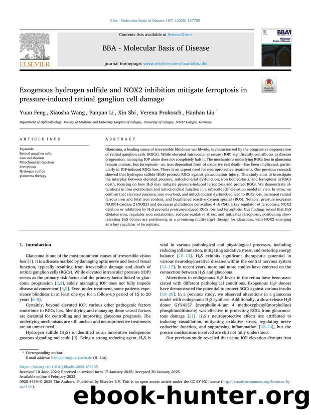 Exogenous hydrogen sulfide and NOX2 inhibition mitigate ferroptosis in pressure-induced retinal ganglion cell damage by Yuan Feng