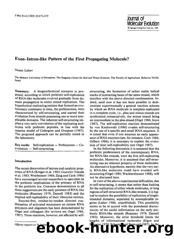 Exon-intron-like pattern of the first propagating molecule? by Unknown