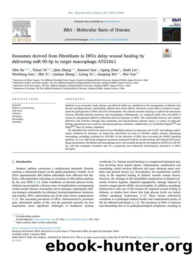 Exosomes derived from fibroblasts in DFUs delay wound healing by delivering miR-93-5p to target macrophage ATG16L1 by unknow