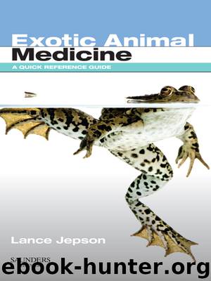 Exotic Animal Medicine by Lance Jepson MA VetMB CBiol MRCVS