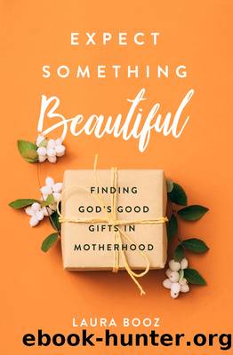 Expect Something Beautiful by Laura Booz