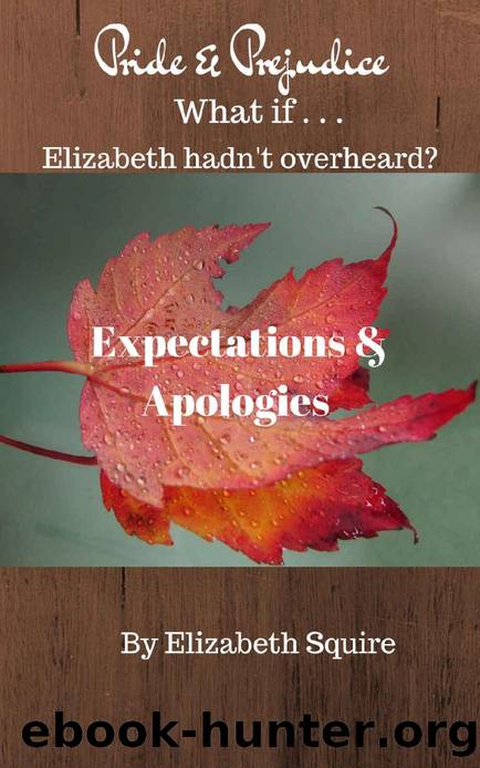 Expectations and Apologies: What if Elizabeth Hadn't Overheard? (What if . . . Book 1) by Elizabeth Squire & A Lady