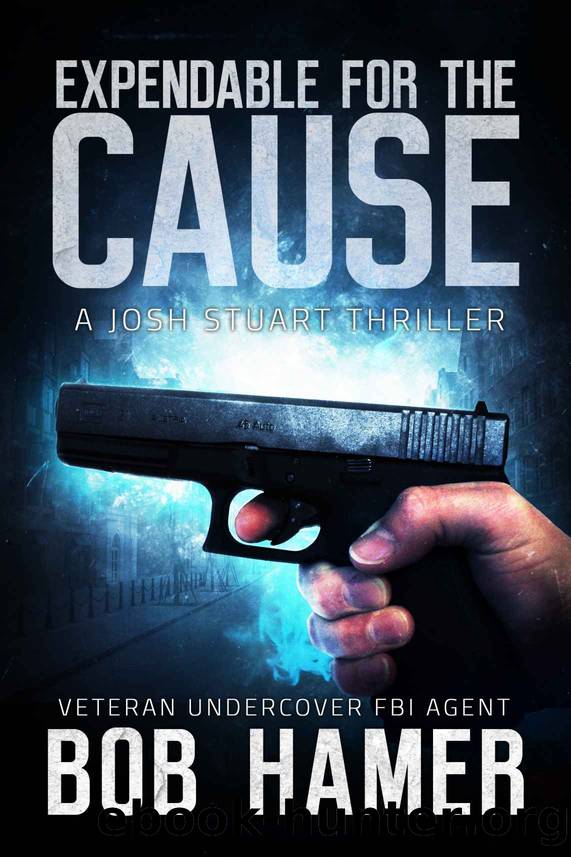 Expendable for the Cause (Josh Stuart Thriller Book 2) by Bob Hamer