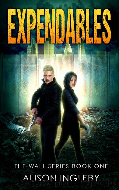 Expendables (The Wall Series Book 1) by Alison Ingleby