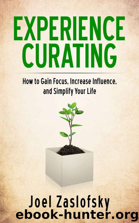 Experience Curating: How to Gain Focus, Increase Influence, and Simplify Your Life by Joel Zaslofsky