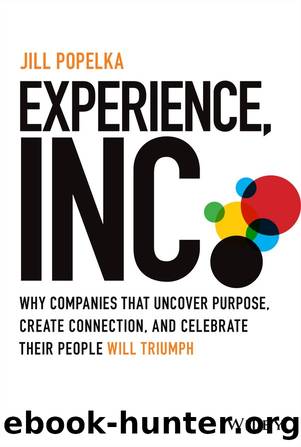Experience, Inc. by Jill Popelka