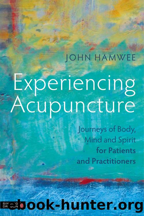 Experiencing Acupuncture by John Hamwee