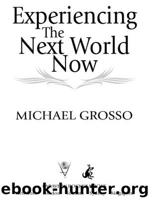 Experiencing the Next World Now by Michael Grosso