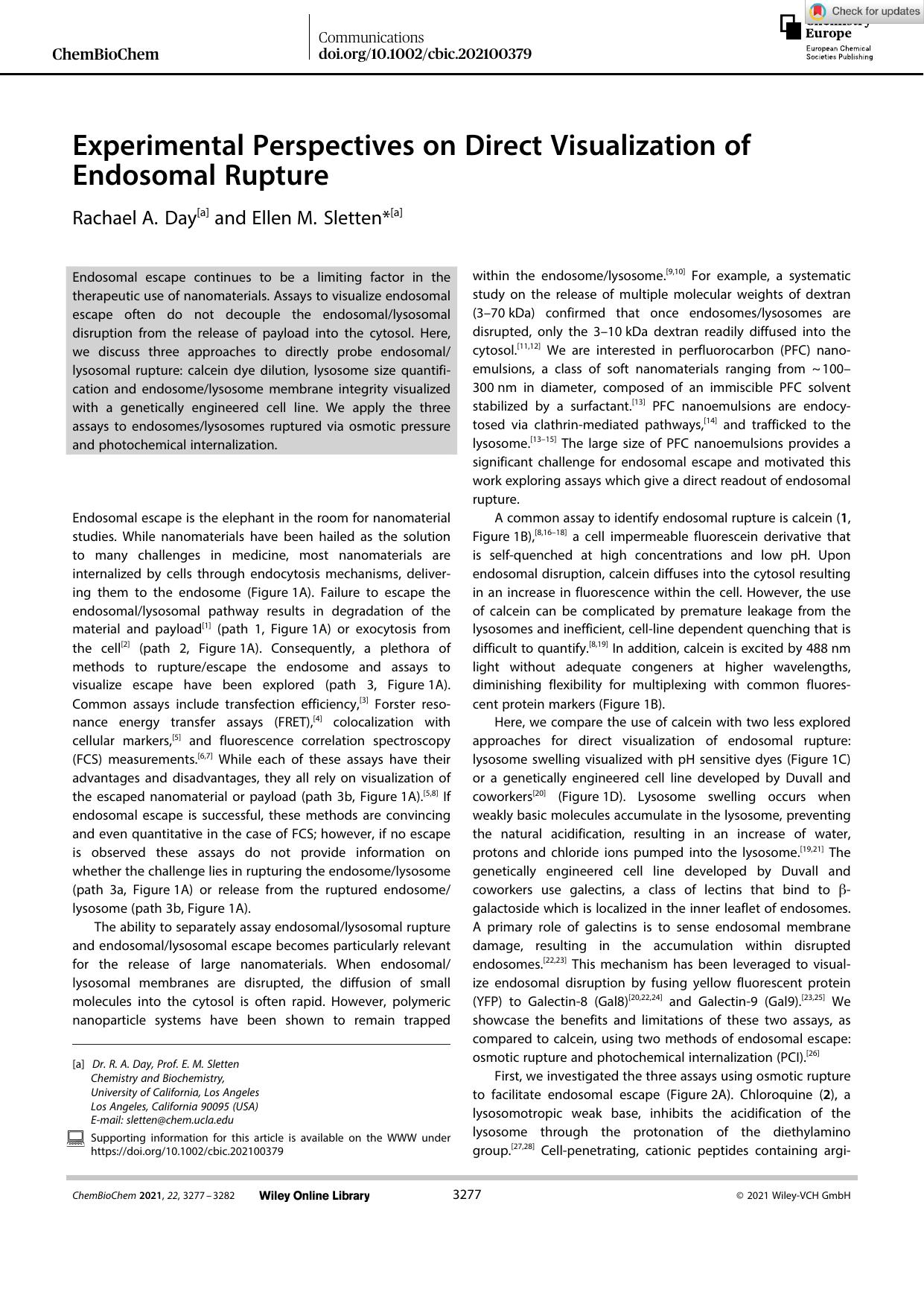 Experimental Perspectives on Direct Visualization of Endosomal Rupture by Unknown